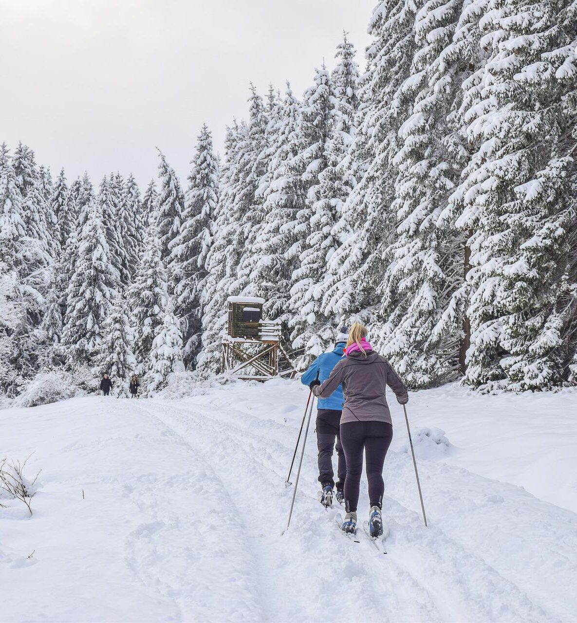 cross-country-skiing-ge35e05dac_1920